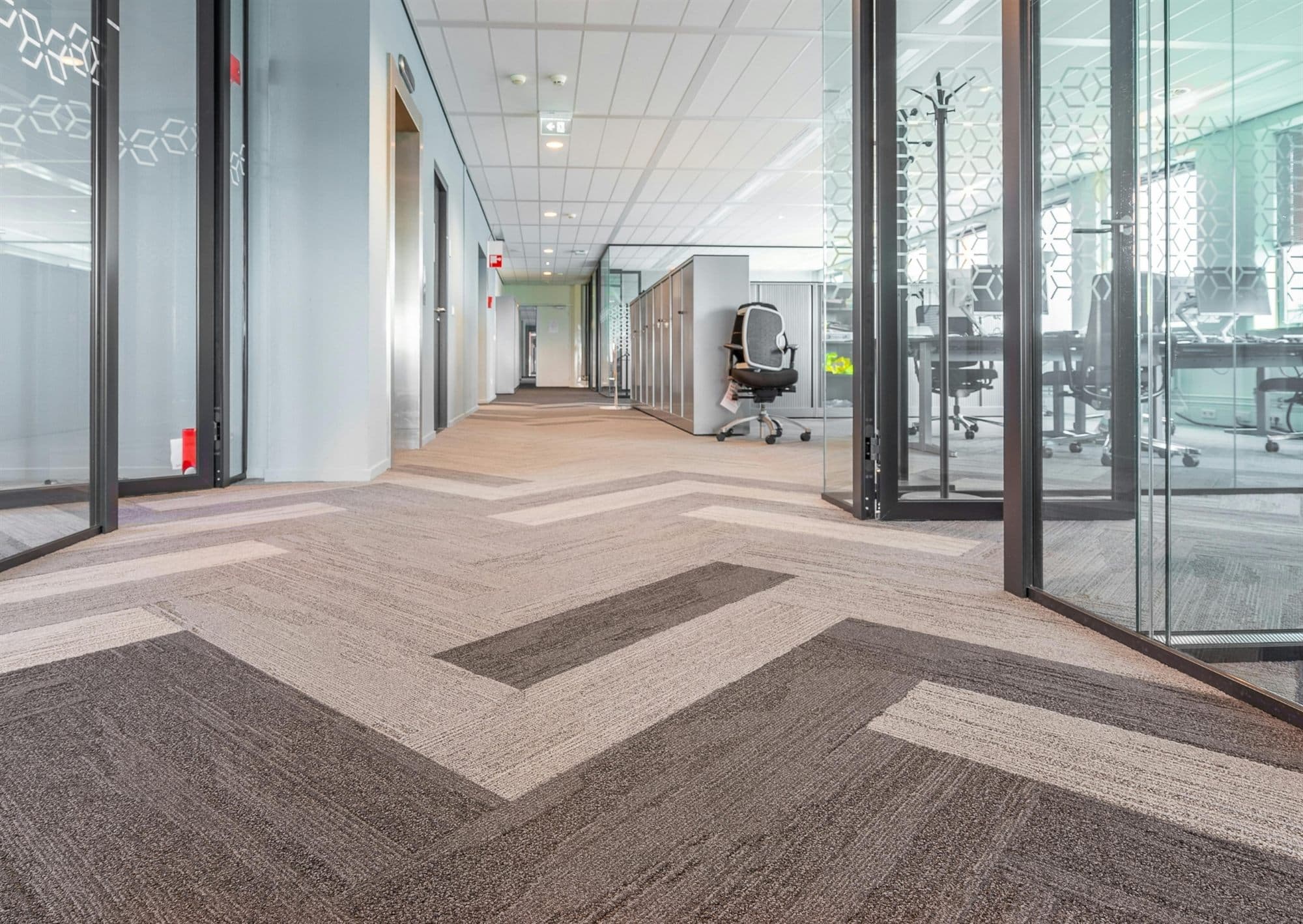 Patterned commercial carpet tiles in an office corridor, professionally deep-cleaned
