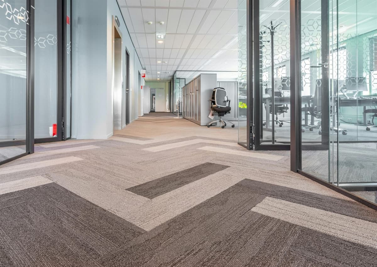 Commercial carpet cleaning for hotel and office environments, The Carpet Guys