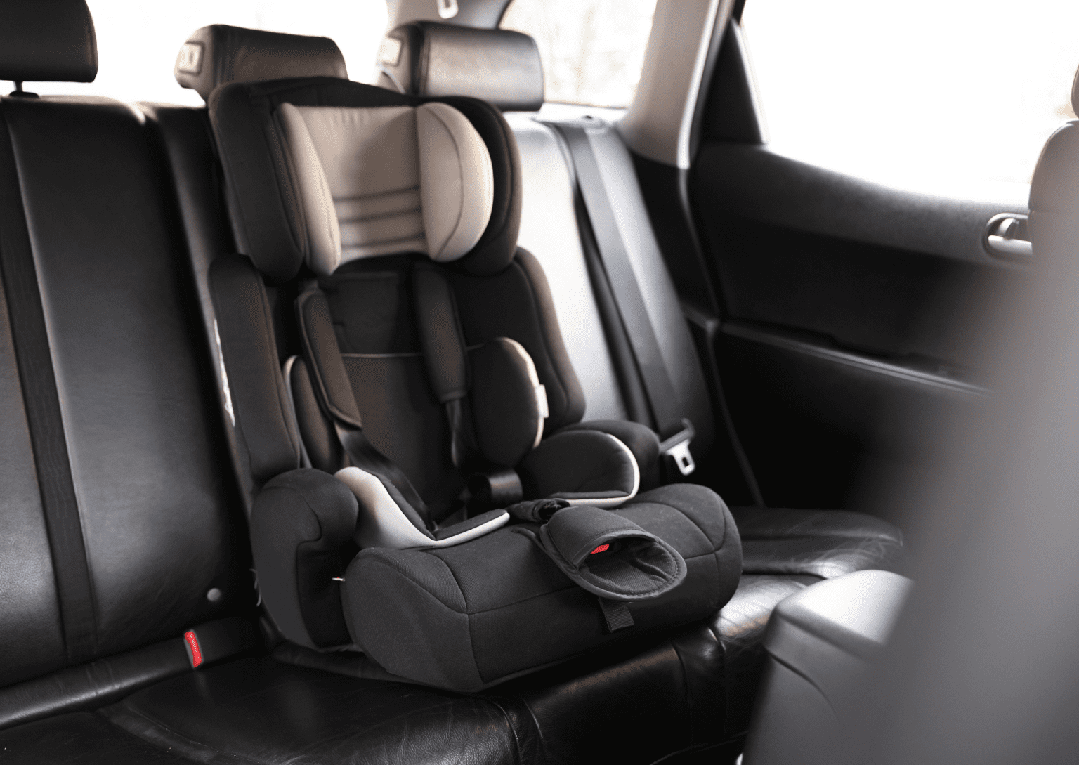 Landscape Website Images (16)