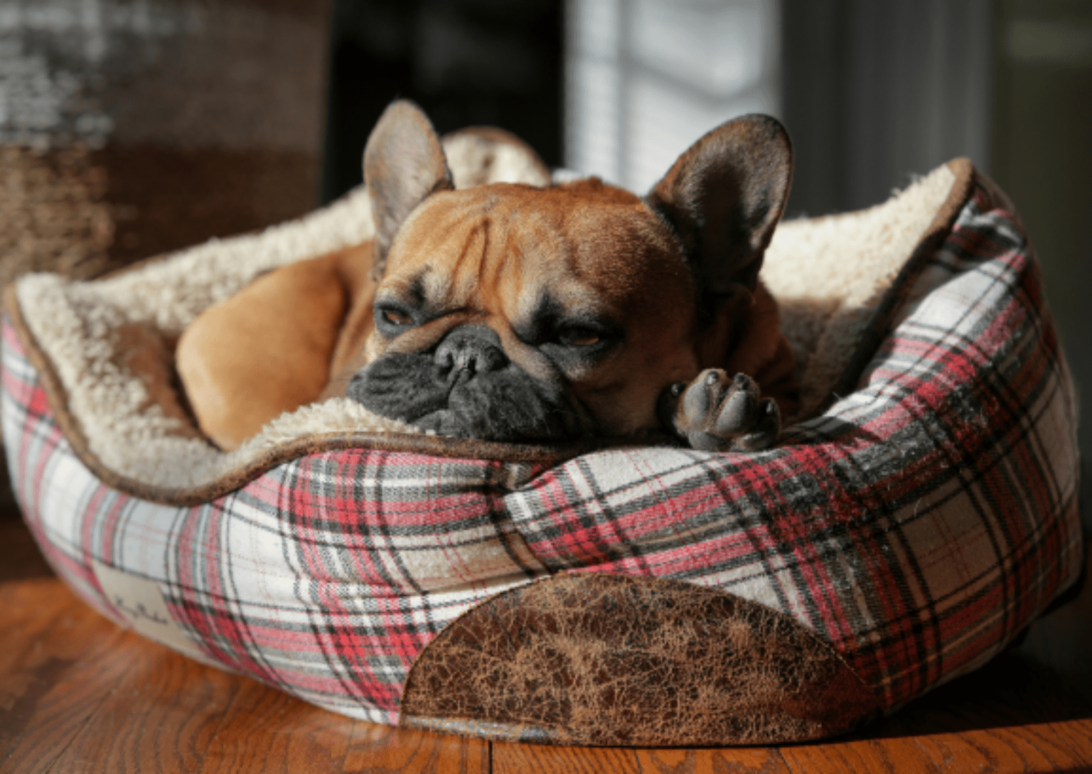 Landscape Website Images (30)