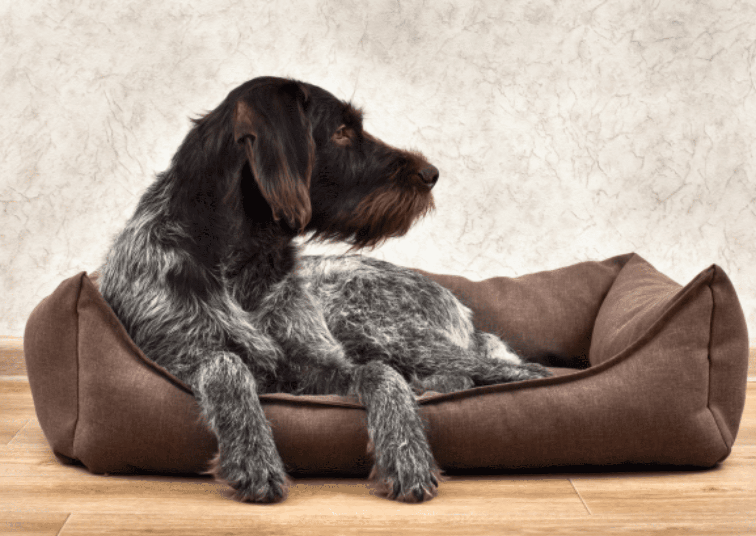 Landscape Website Images (31)