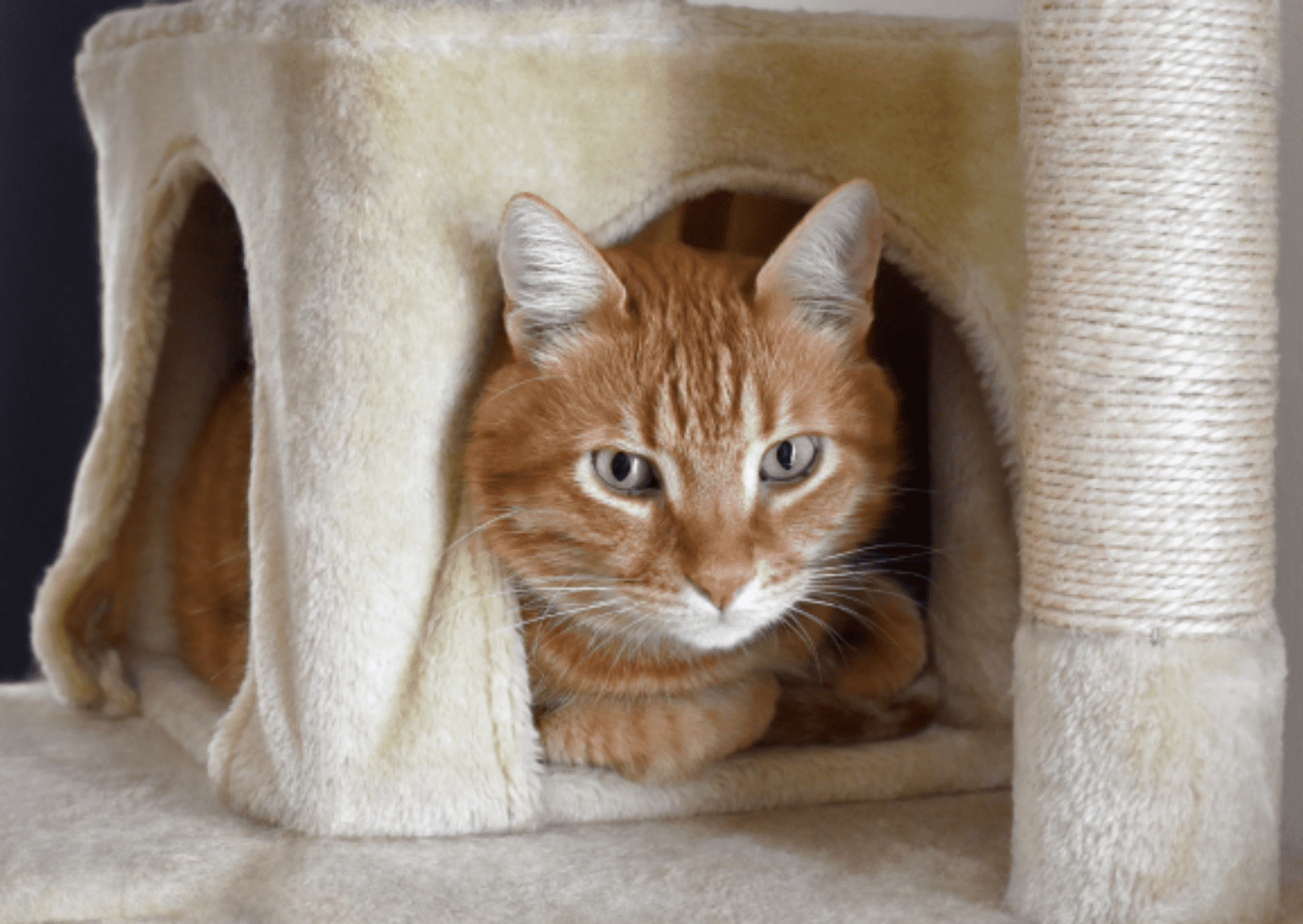 Landscape Website Images (33)